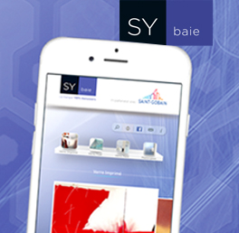 application sybaie glass vision
